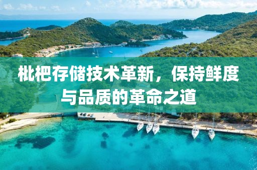 枇杷存储技术革新，保持鲜度与品质的革命之道