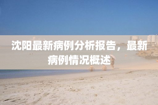 沈阳最新病例分析报告，最新病例情况概述