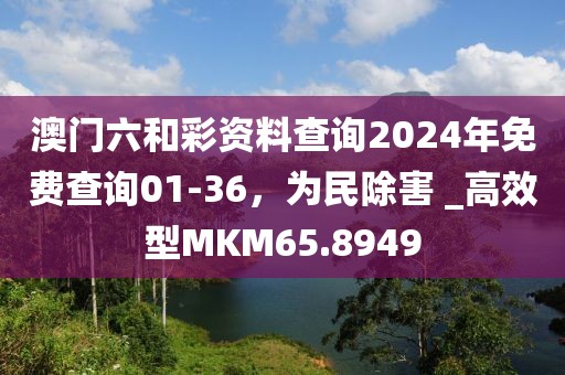 澳门六和彩资料查询2024年免费查询01-36，为民除害 _高效型MKM65.8949