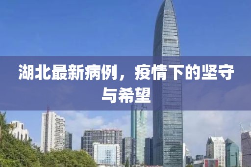 湖北最新病例，疫情下的坚守与希望