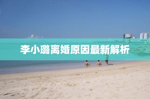 李小璐离婚原因最新解析
