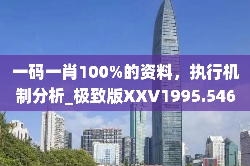 一码一肖100%的资料，执行机制分析_极致版XXV1995.546