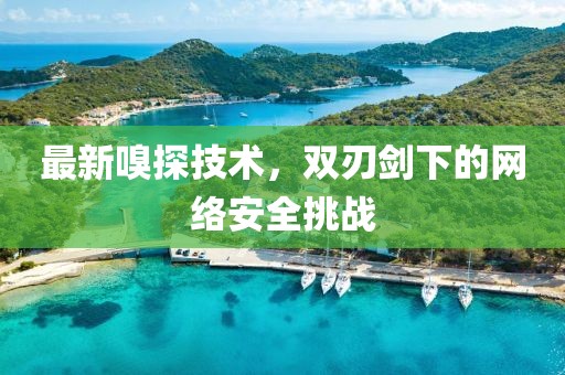 最新嗅探技术，双刃剑下的网络安全挑战