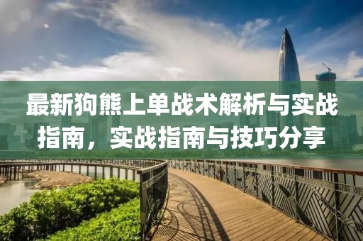 最新狗熊上单战术解析与实战指南，实战指南与技巧分享