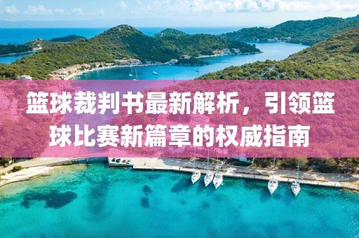 篮球裁判书最新解析，引领篮球比赛新篇章的权威指南
