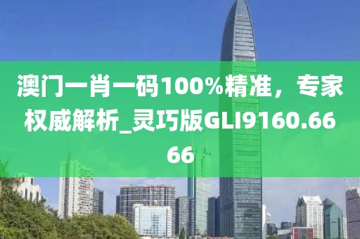 澳门一肖一码100%精准，专家权威解析_灵巧版GLI9160.6666