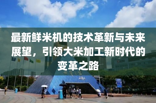 最新鲜米机的技术革新与未来展望，引领大米加工新时代的变革之路