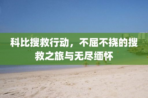 科比搜救行动，不屈不挠的搜救之旅与无尽缅怀