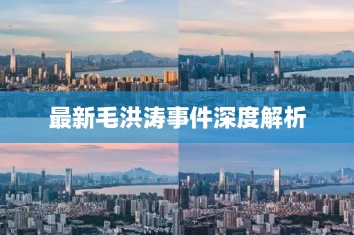 最新毛洪涛事件深度解析