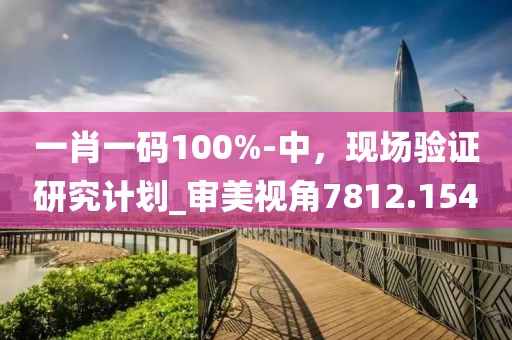 一肖一码100%-中，现场验证研究计划_审美视角7812.154