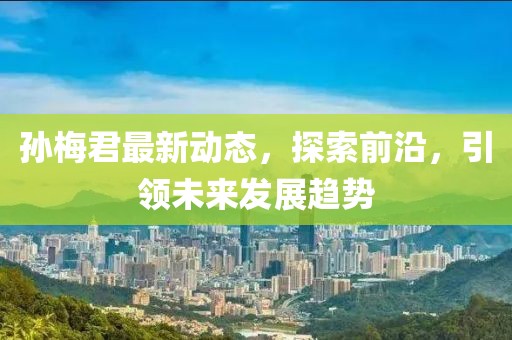 孙梅君最新动态，探索前沿，引领未来发展趋势