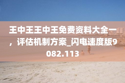 王中王王中王免费资料大全一，评估机制方案_闪电速度版9082.113
