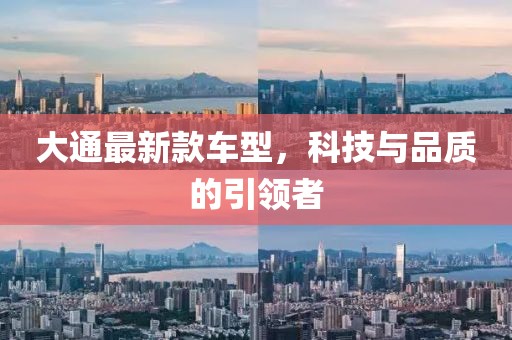 大通最新款车型,科技与品质的引领者
