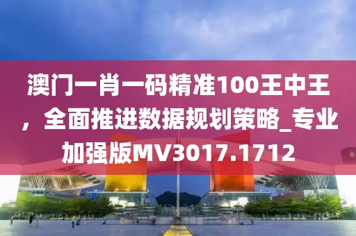 澳门一肖一码精准100王中王，全面推进数据规划策略_专业加强版MV3017.1712