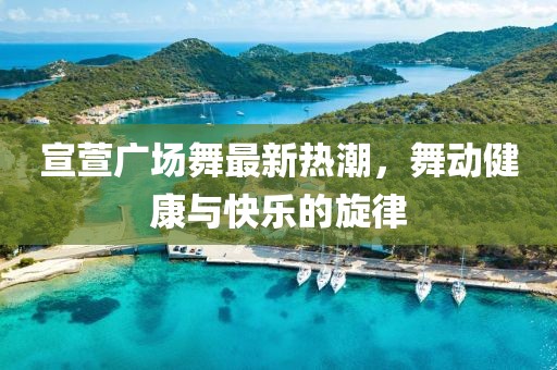 宣萱广场舞最新热潮，舞动健康与快乐的旋律