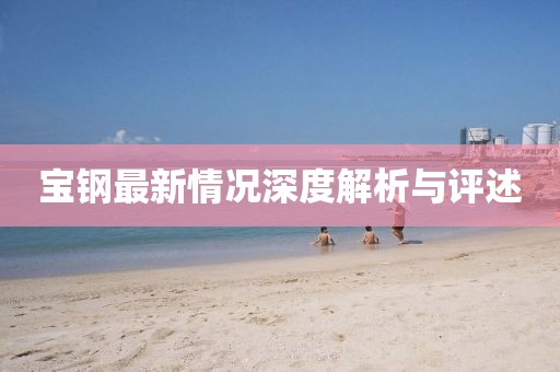 宝钢最新情况深度解析与评述