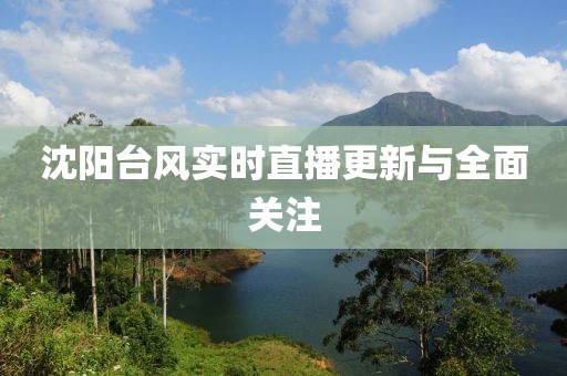 沈阳台风实时直播更新与全面关注