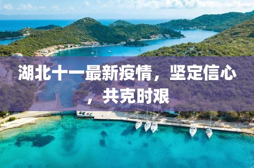 湖北十一最新疫情，坚定信心，共克时艰