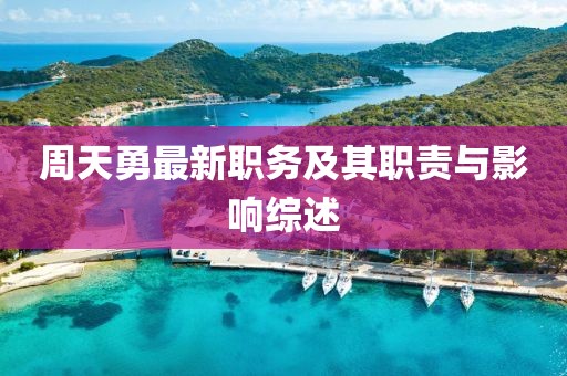 周天勇最新职务及其职责与影响综述