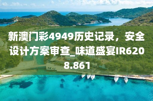 新澳门彩4949历史记录，安全设计方案审查_味道盛宴IR6208.861