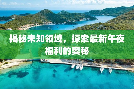 揭秘未知领域，探索最新午夜福利的奥秘