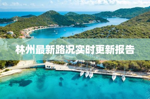 林州最新路况实时更新报告