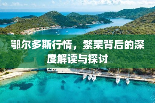 鄂尔多斯行情，繁荣背后的深度解读与探讨