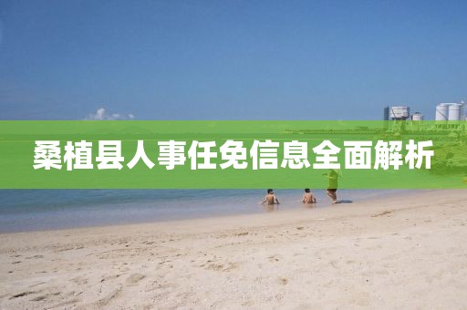 桑植县人事任免信息全面解析