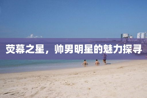 荧幕之星，帅男明星的魅力探寻