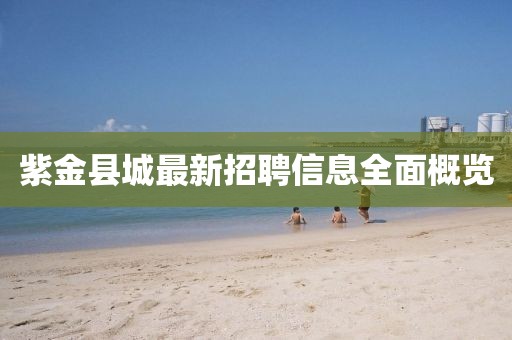 紫金县城最新招聘信息全面概览