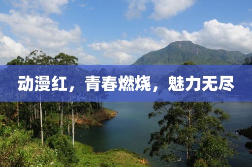 动漫红，青春燃烧，魅力无尽