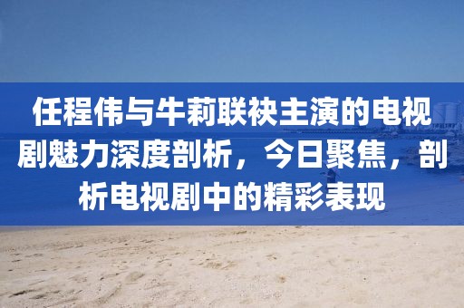 任程伟与牛莉联袂主演的电视剧魅力深度剖析，今日聚焦，剖析电视剧中的精彩表现