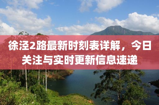 徐泾2路最新时刻表详解，今日关注与实时更新信息速递