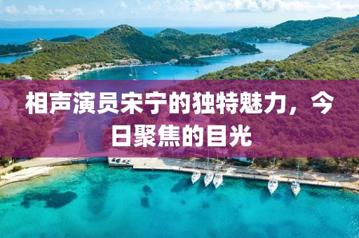 相声演员宋宁的独特魅力,今日聚焦的目光