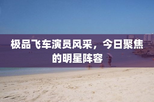 极品飞车演员风采，今日聚焦的明星阵容