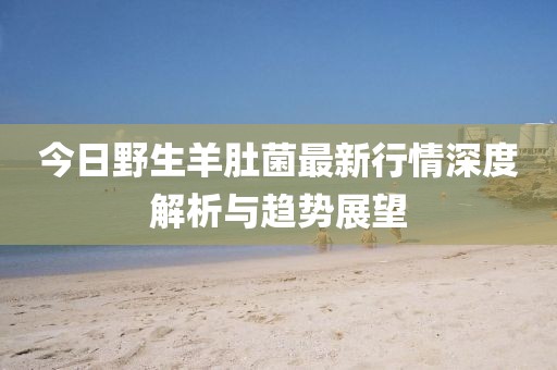 今日野生羊肚菌最新行情深度解析与趋势展望