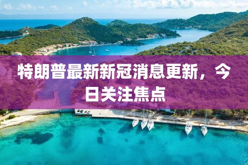 特朗普最新新冠消息更新，今日关注焦点