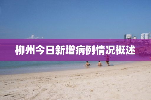 柳州今日新增病例情况概述