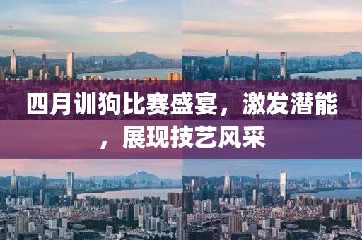 四月训狗比赛盛宴，激发潜能，展现技艺风采