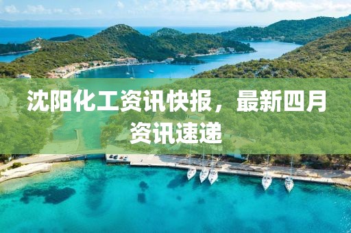沈阳化工资讯快报，最新四月资讯速递