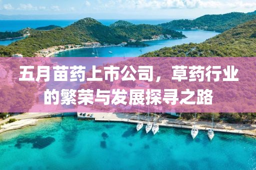 五月苗药上市公司，草药行业的繁荣与发展探寻之路
