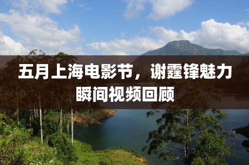 五月上海电影节，谢霆锋魅力瞬间视频回顾