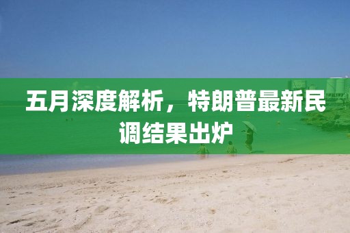 五月深度解析，特朗普最新民调结果出炉