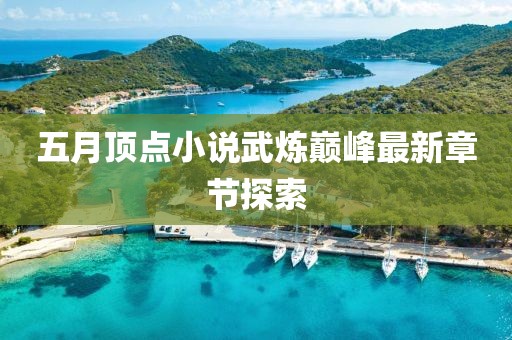 五月顶点小说武炼巅峰最新章节探索