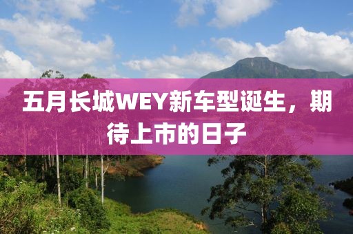 五月长城WEY新车型诞生，期待上市的日子