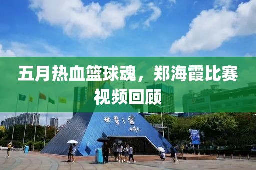 五月热血篮球魂，郑海霞比赛视频回顾