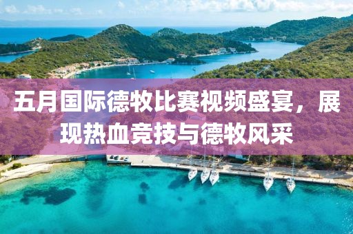 五月国际德牧比赛视频盛宴，展现热血竞技与德牧风采