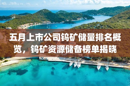 五月上市公司钨矿储量排名概览，钨矿资源储备榜单揭晓