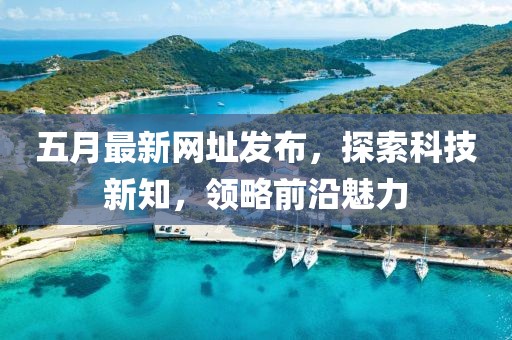 五月最新网址发布，探索科技新知，领略前沿魅力