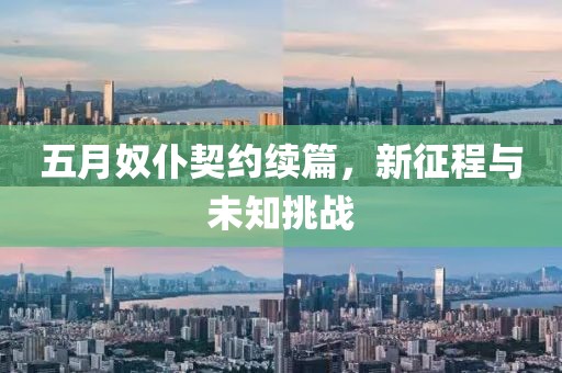 五月奴仆契约续篇，新征程与未知挑战